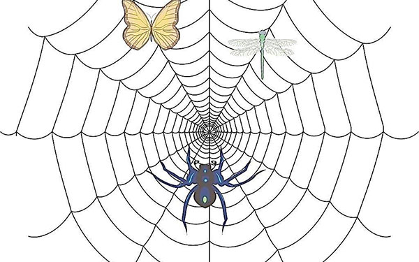 優(yōu)幫云seo分享網(wǎng)站構(gòu)造優(yōu)化有什么益處? 網(wǎng)站優(yōu)化