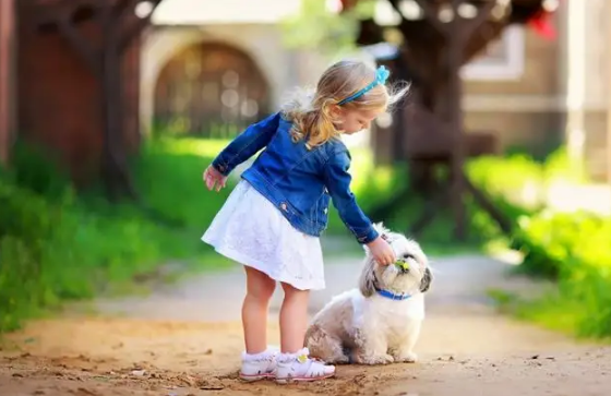 2022年生男生女清宮表圖最新正版3