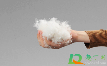 羽絨有鴨味道怎樣去除4