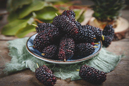 桑葚什么人都可能吃嗎1