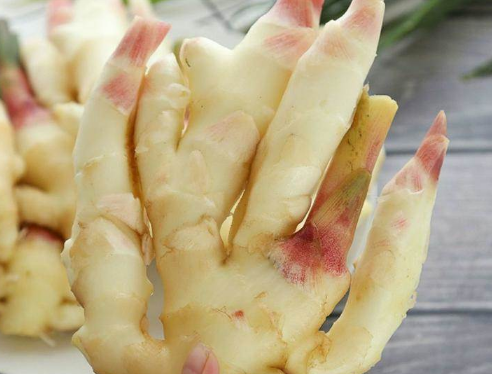 生姜如何長期保存不壞3