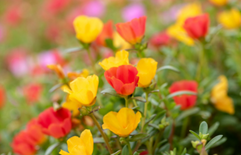 2022夏天什么時分能不熱2