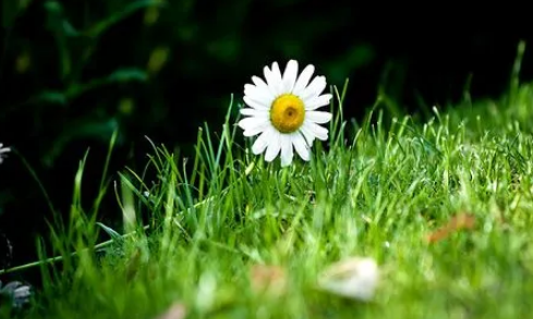 今年夏天要熱到幾月份20221