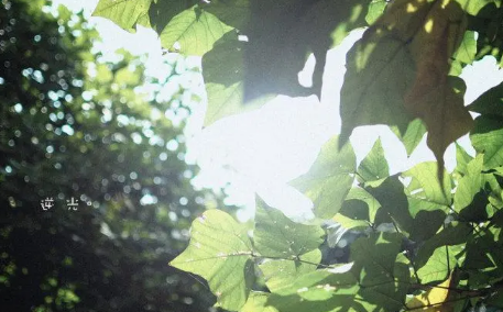 湖南今年天氣什么時來到始熱20222