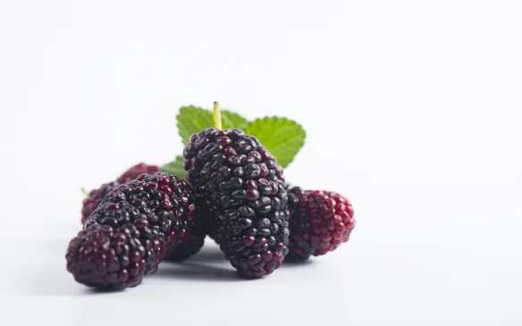 桑葚不適宜什么人吃1