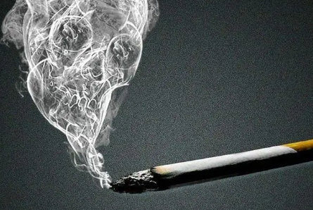 玉溪多少錢一盒1